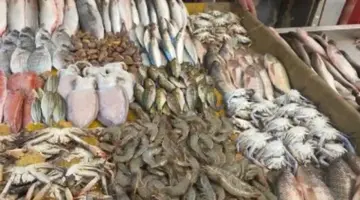 البورى من 155 إلى 185 جنيها.. أسعار الأسماك اليوم الخميس في الإسماعيلية